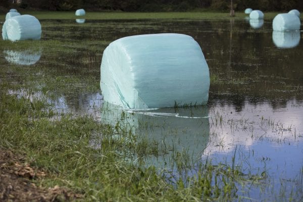 Hay bales in blueish plastic on a flooded field