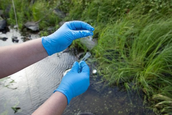 Scientist takes water samples from stream.