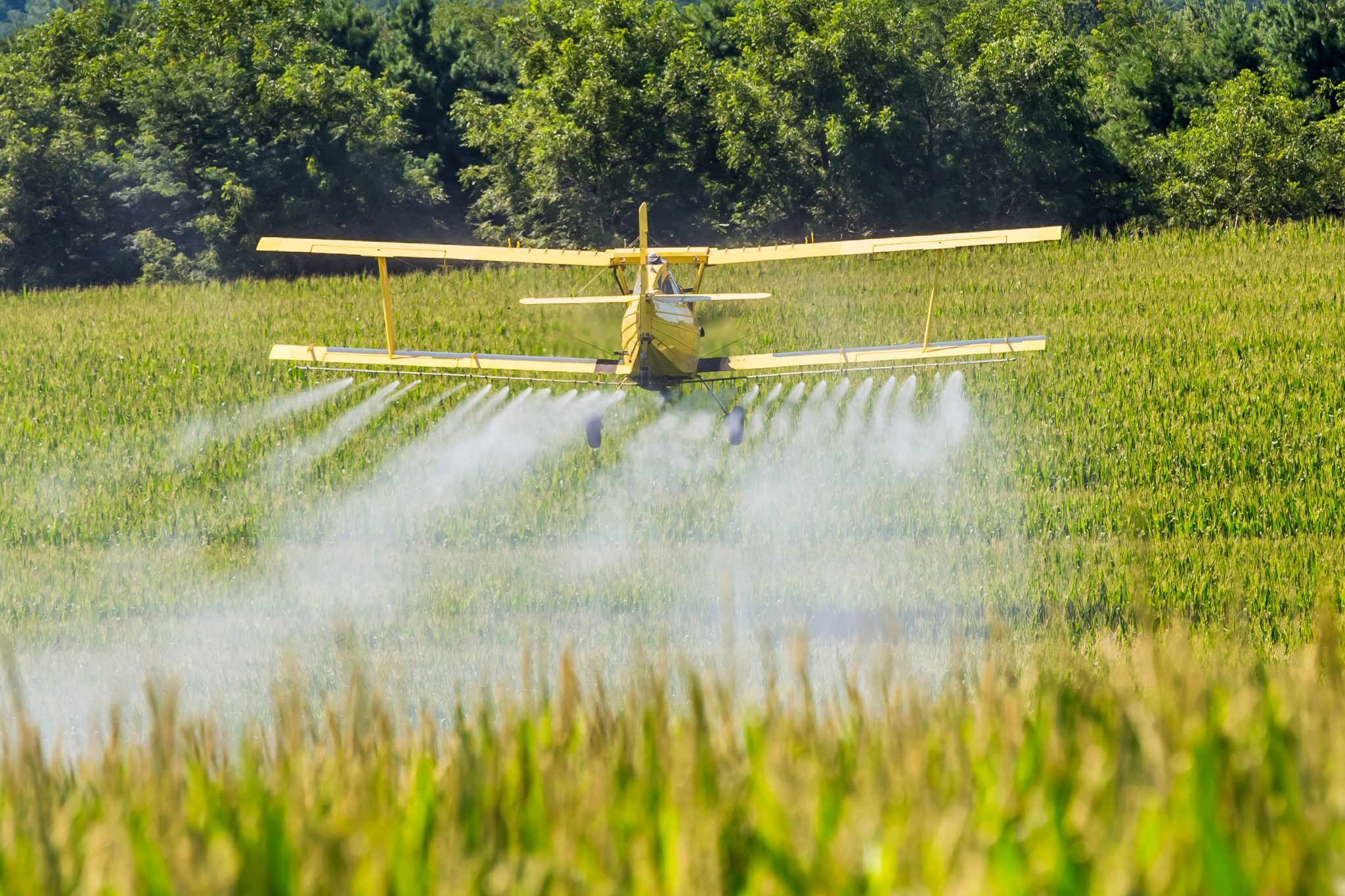 A crop duster flying over a field