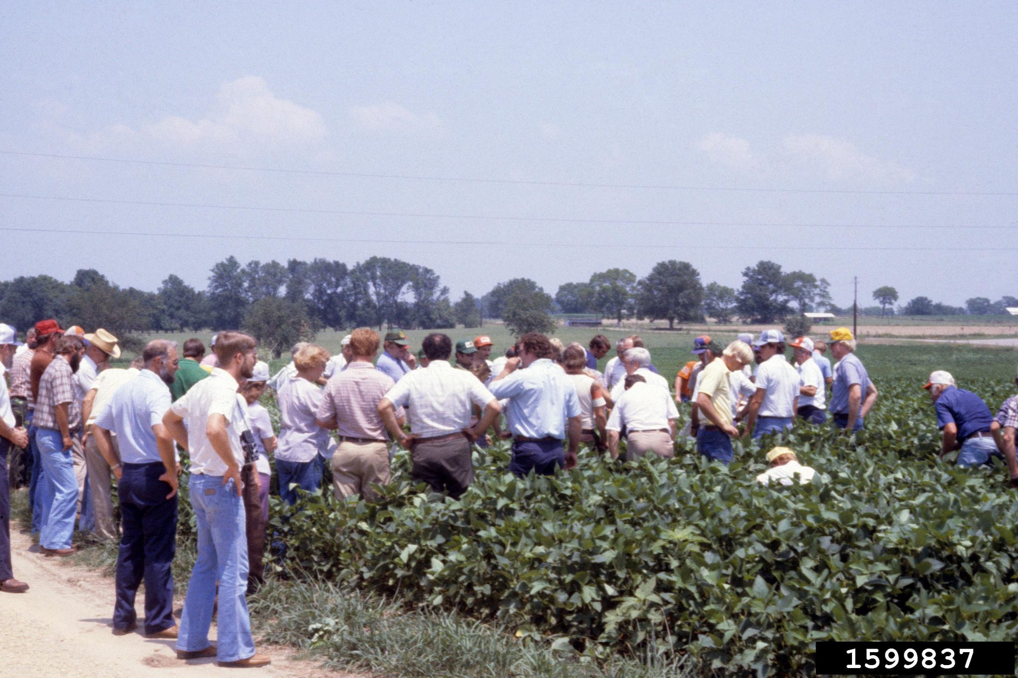 Demonstration in Field - Group of people stading in a soybean field having a class. - John C. French Sr., Retired, Universities:Auburn, GA, Clemson and U of MO, Bugwood.org