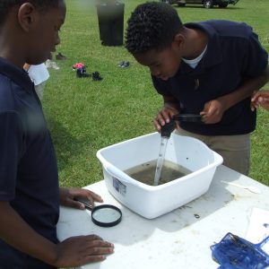 Two students sort through a pan of water collected from a drainage stream