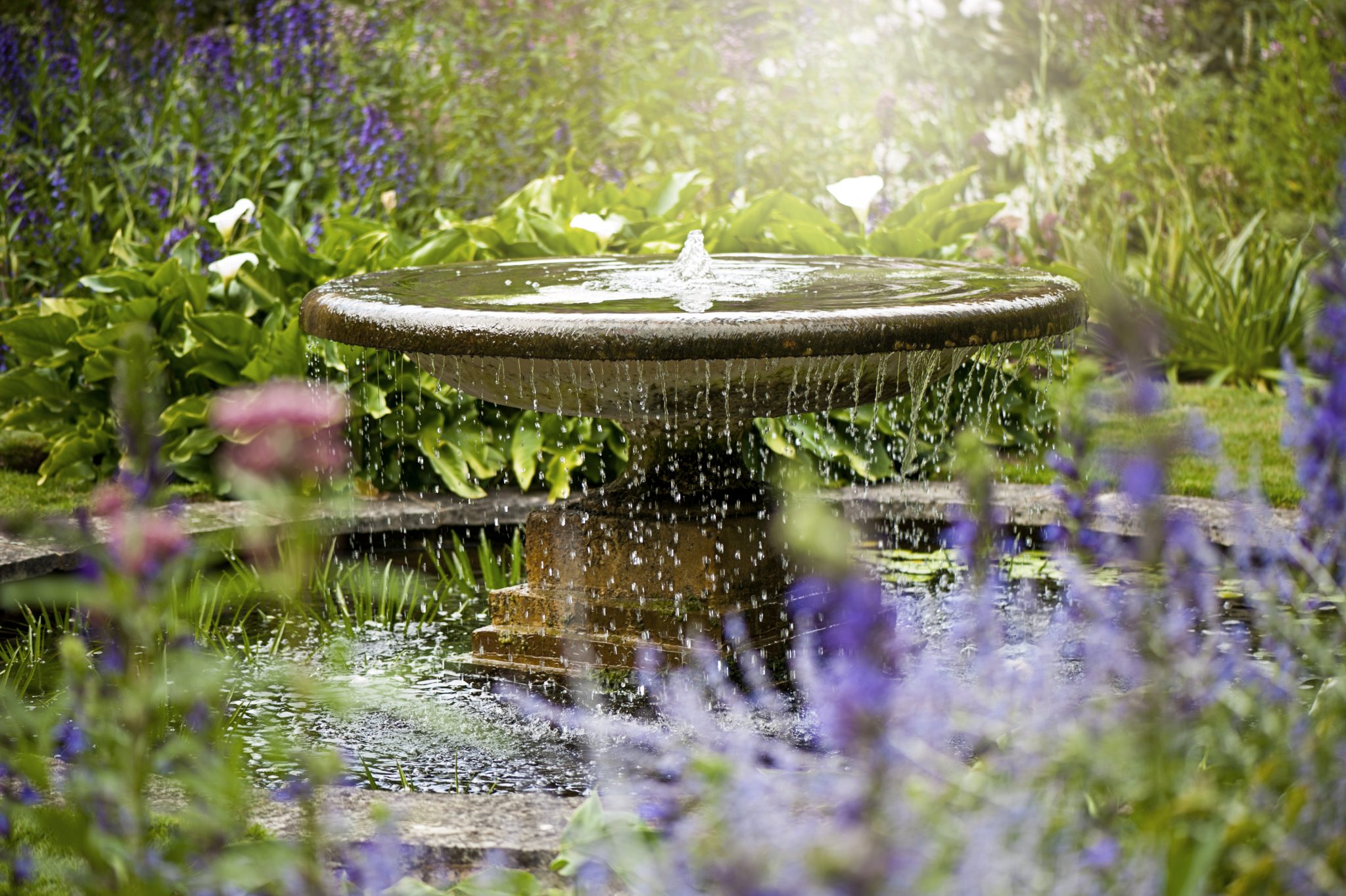 Fountain in garden pool surrounded by flowers