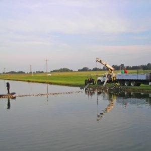 Figure 2. Preparing for a commercial catfish harvest in Uniontown, Alabama.