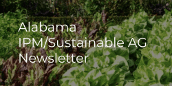 Alabama IPM/Sustainable AG Newsletter