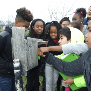 A group of students open a songbird house to see how to help songbird recovery