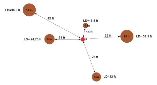 Figure 7. Example of limiting distances associated with trees of varying diameters and their position relative to plot center (red dot) when variable-radius plots are used.