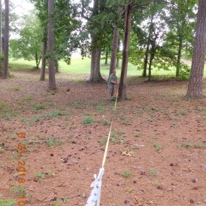 Figure 1. View from plot center. When measuring out your fixed-radius plot, stretch your tape out to the appropriate plot radius and systematically determine which trees fall within your plot. Plot size should based on the composition of the stand you are measuring.