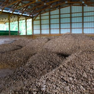 Figure 1. Broiler litter inside a poultry mega-house (left) and caked litter stored in a dry-stack barn (right)