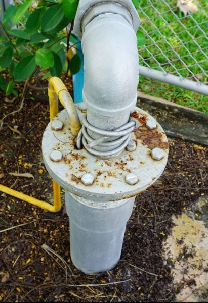 Formal Garden, Fountain, Currant, Gooseberry, Groundwater station pump