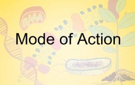 Mode of Action Illustration