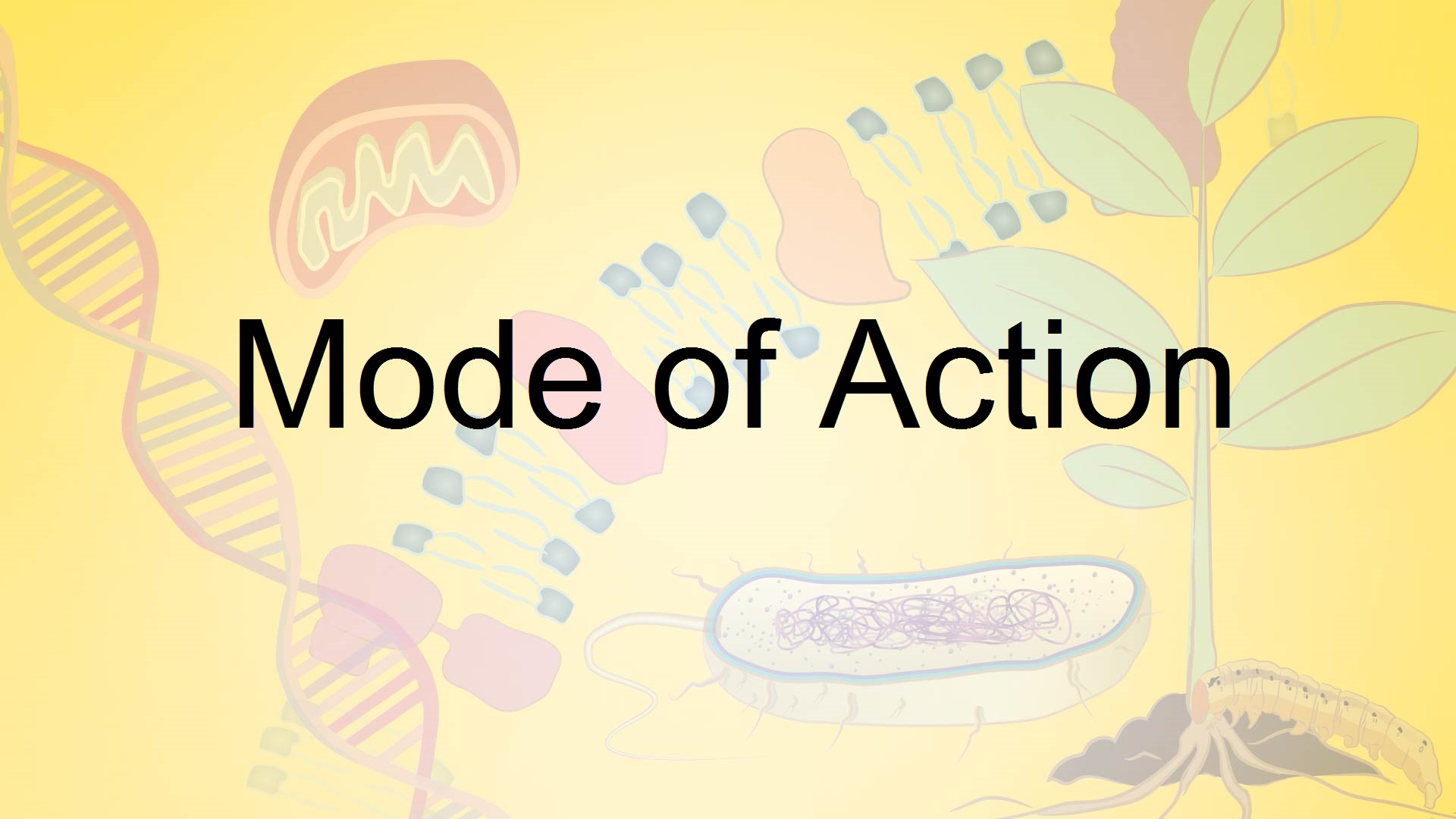Mode of Action Illustration