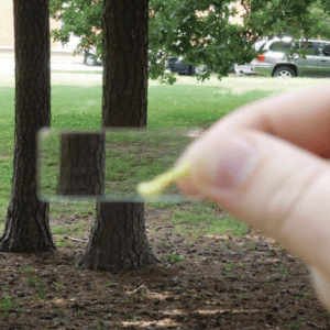 Figure 5. Example of a borderline tree through a prism. Notice that the refracted portion aligns with, but does not overlap the nonrefracted portion of the stem. In this case, the tree’s diameter and distance from plot center should be measured. The diameter is multiplied by the plot radius factor (PRF) and compared to the measured distance from plot center to determine if it is in or out.