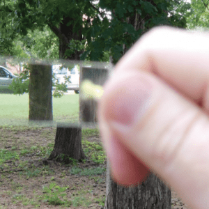 Figure 6. Example of an “out” tree through a prism. Here, the refracted portion of the stem is clearly offset from the rest of the tree. Specifically notice that space can be seen between the refraction and main stem. This tree is out and would not be included in the tally.