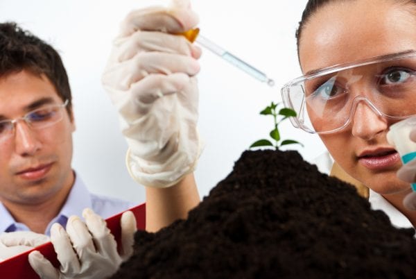 Two scientists agricultural people working in laboratory,selective focus on woman face