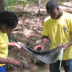 Two participants are standing in a stream and examining a net that they just collected samples with