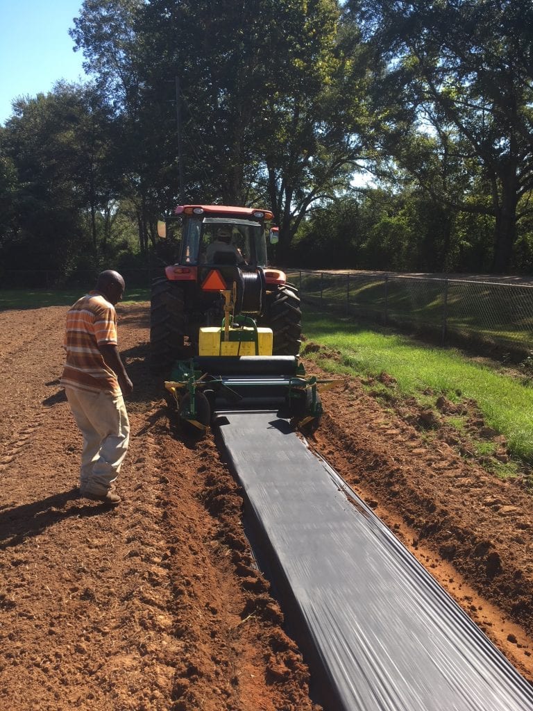 Plastic Mulch for Vegetable Production Alabama Cooperative Extension