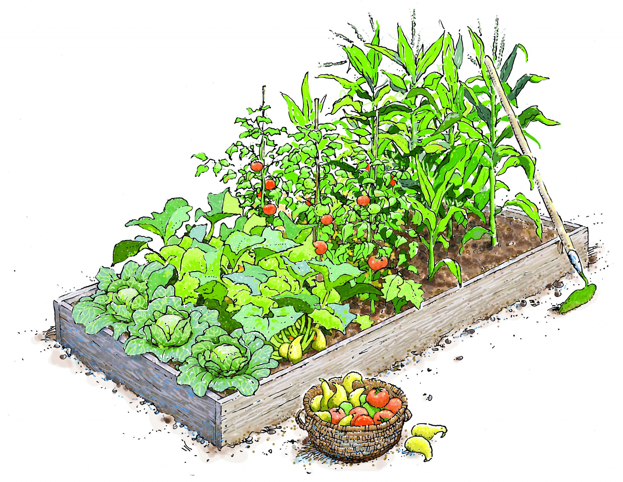 Raised Bed Gardening Alabama, How Do You Prepare A Soil For Raised Bed Vegetable Garden