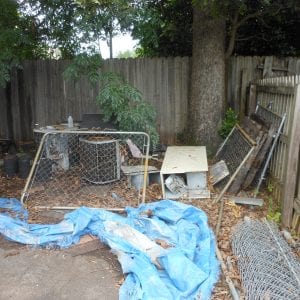 Figure 4. The common denominator of TCA nest sites are dark, secluded, and humid environments. Examples include