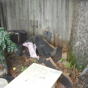 Figure 4. The common denominator of TCA nest sites are dark, secluded, and humid environments. Examples include