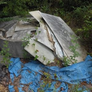 Figure 4. The common denominator of TCA nest sites are dark, secluded, and humid environments. Examples include