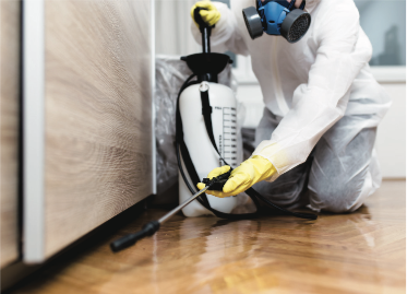 Man spraying chemicals