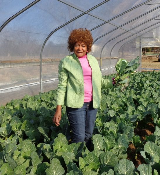 African American woman standing in a green house.