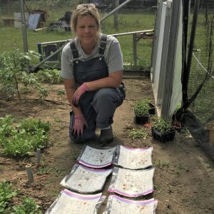 A woman in a garden with insect traps