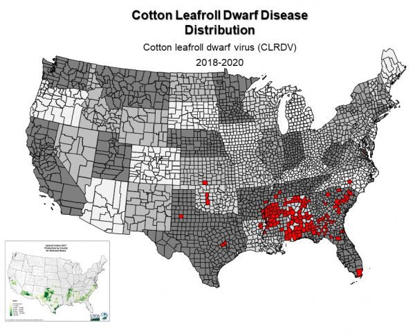 Figure 1. Known distribution of US-CLRDV across the cotton belt.