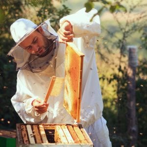 A beekeeper with his hives.