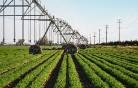 Center pivot irrigation with drop sprinklers over leaf crop agriculture in Antelope Valley, Mojave Desert, California.