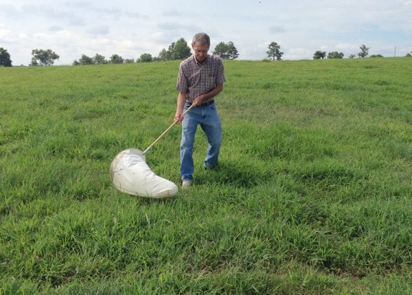 Scouting fields with a sweep net