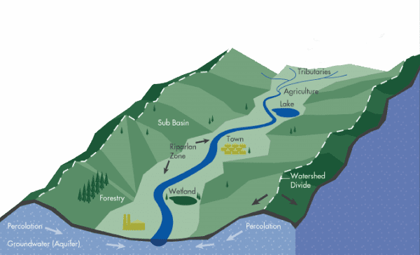 What Is A Watershed? - Alabama Cooperative Extension System