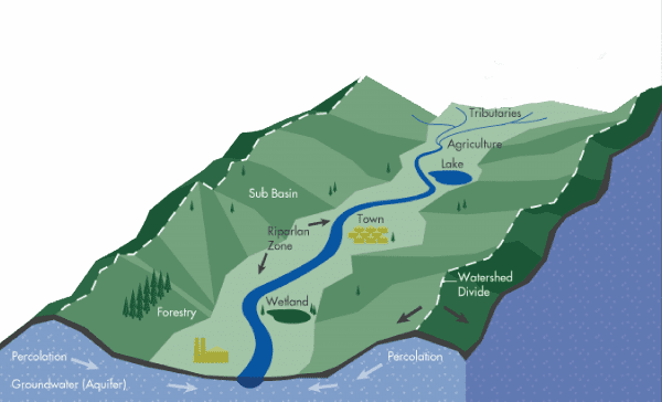 Illustration of a watershed