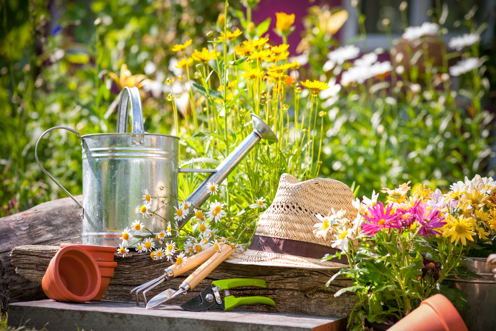 A watering can, straw hat, and gardening tools surrounded by garden flowers