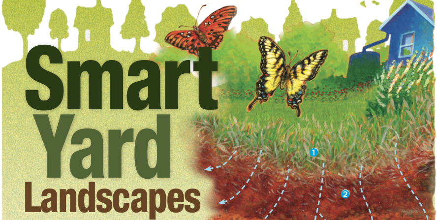 Smart Yard Landscapes