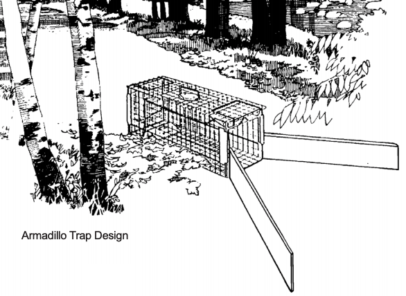 Armadillo Trap Design