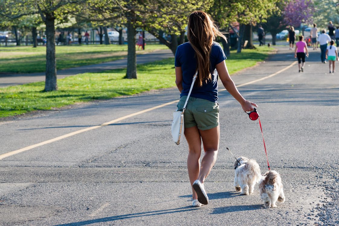 A woman walking her two dogs on a walking path.