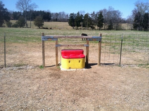 Water tank for livestock.