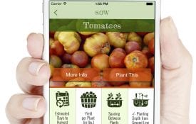 screenshot of SOW app