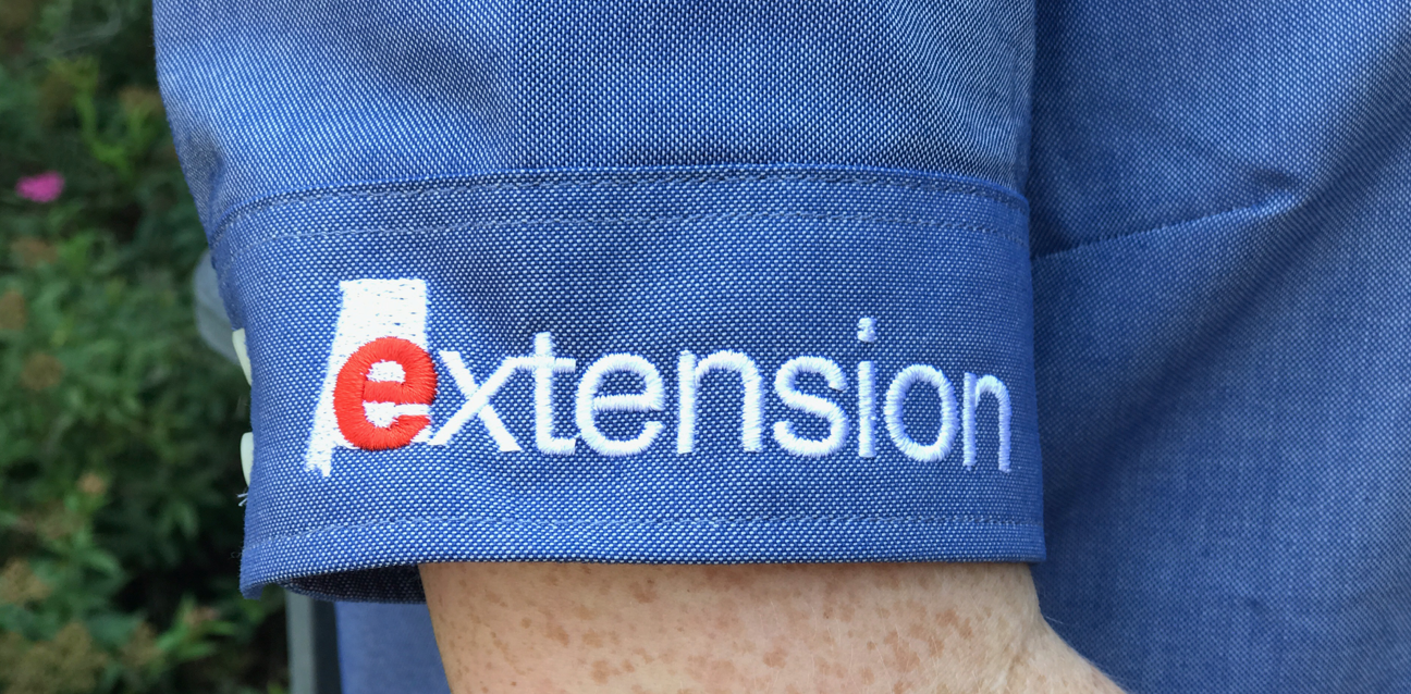 Logo embroidered on shirt