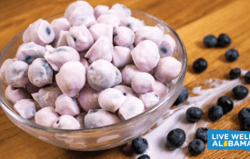 frozen yogurt covered blueberries