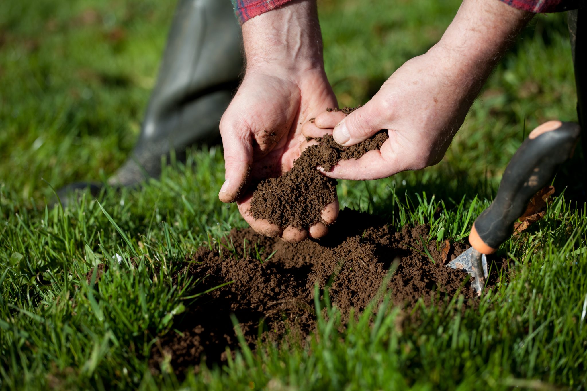 Soil testing in turf