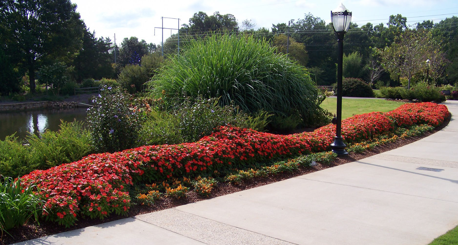 Figure 1: A sunny annual border planted with New Guinea impatiens and ornamental peppers. 