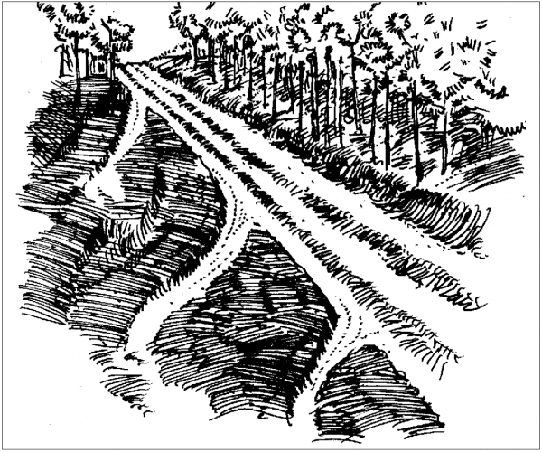 Figure 1. Water turn-outs.