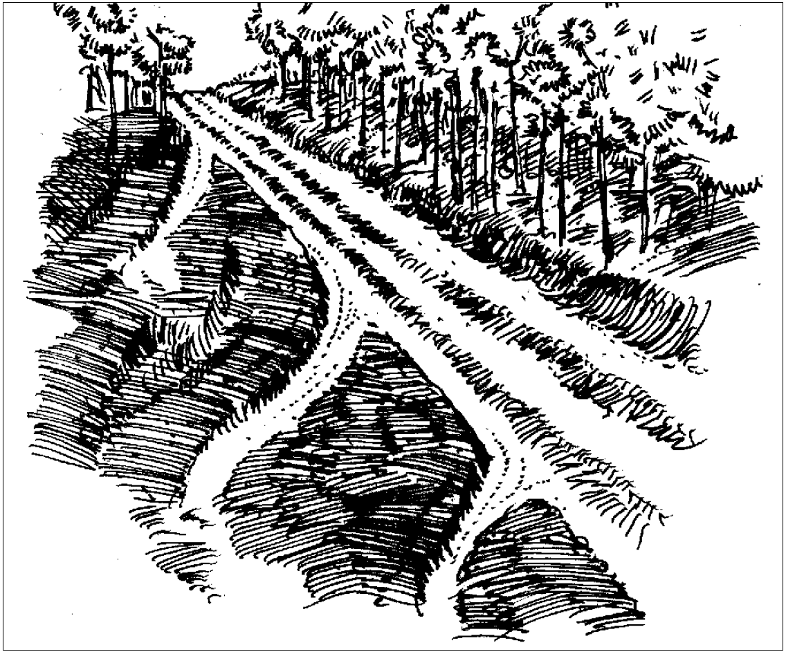 Forest Roads and Construction of Associated Water Diversion Devices