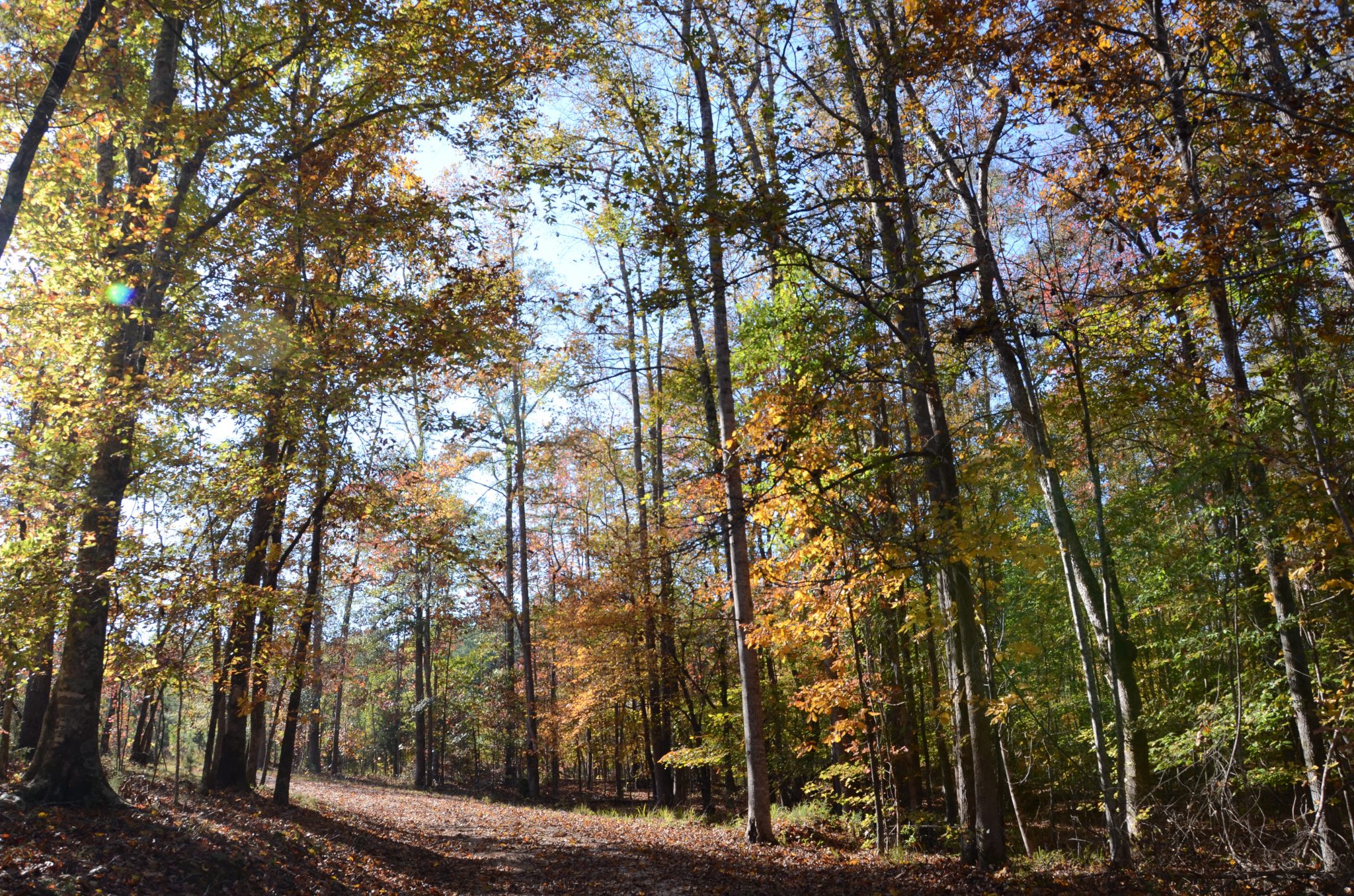 Mary Olive Thomas Track Photo Credit: Kelly Knowles