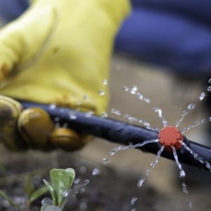 Garden bed irrigation system