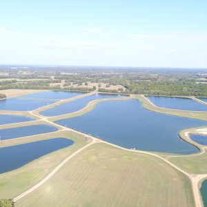 Figure 2. Commercial catfish farm in Marengo County, Alabama.