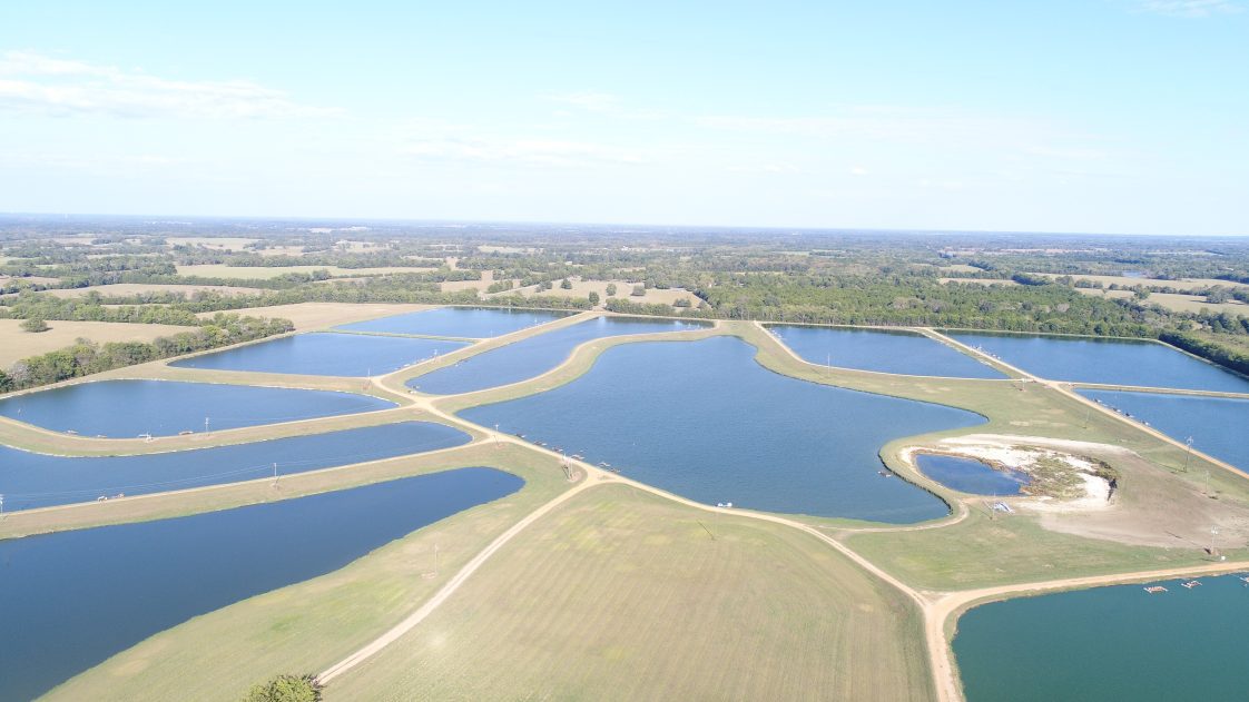 Figure 2. Commercial catfish farm in Marengo County, Alabama.