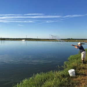 Figure 4. Farmer sampling shrimp with a cast net in Greene County, Alabama.